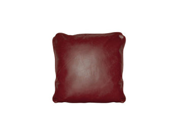 Darcy | Scatter Cushion | Vintage Oxblood